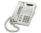 Avaya MLS-12D White Display Phone