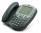 Avaya 4620SW IP Display Telephone (700259674)