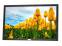 Dell E2209W 22" Widescreen LCD Monitor - Grade A - No Stand 