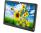 HP LE1901wm 19" Widescreen LCD Monitor - No Stand - Grade B