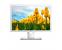 Dell MR2416 24" LED LCD Medical Review Monitor - New Dell MR2416 24" LED LCD Medical Review Monitor - New