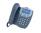 Avaya 2410 12-Button Digital Display Speakerphone - Grade A