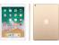 Apple A1822 iPad (5th Gen) 9.7" Tablet 32GB (WiFi Only) - Gold - Grade B
