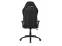 AKRACING AMERICA Core Series EX Premium Gaming Chair - Black
