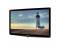 ViewSonic VA2037a 20" Black LED LCD Monitor - No Stand - Grade A