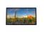 Dell P2214Hb 22"  Widescreen Dual LCD Monitor Setup - Grade A