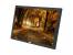 Dell E1916H 19" Widescreen LED LCD Monitor - No Stand - Grade B