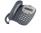 Avaya 5402 12-Button Digital Display Speakerphone - Grade B
