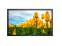 Dell E2210f 22" LCD Monitor - No Stand - Grade C