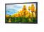 Dell E2210f 22" LCD Monitor - No Stand - Grade B