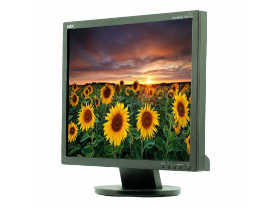 NEC AccuSync AS194Mi-BK 19" IPS LED LCD Monitor - Grade B