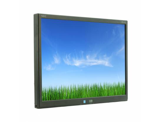 NEC AccuSync AS221WM 22" Widescreen LCD Monitor - No Stand - Grade A