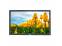 Dell E1916H 19" Widescreen LED LCD Monitor - No Stand - Grade A