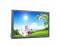 NEC AS222WM 22" Widescreen LCD Monitor - No Stand - Grade A