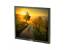Dell 1707FPc 17" Widescreen LCD Monitor - No Stand - Grade B