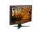 Acer G245HQL 24" LED Widescreen Monitor - Grade B