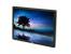 Dell P2016 20" LCD Monitor - No Stand - Grade A