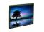 Dell P2016 20" LCD Monitor - No Stand - Grade B