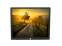 HP ProDisplay P19A 19" LED LCD Monitor - No Stand - Grade A