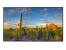 Viewsonic CDE5010 50" 4K Commercial Digital Signage