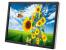 Dell U2413f 24" Widescreen LED LCD Monitor - Grade C - No Stand