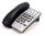 NEC DTR-1HM-1 Black Line Analog Telephone - Grade A