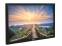 Dell E2316H 23" Widescreen LED LCD Monitor - Grade A - No Stand 