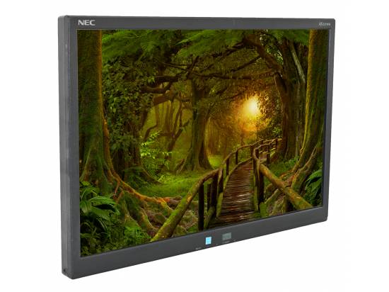 NEC AccuSync AS221WM 22" Widescreen LCD Monitor - No Stand - Grade B