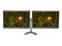 NEC AccuSync AS221WM 22" Widescreen Dual Monitor Setup - Grade A