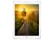 Apple iPad Air 2 A1566 9.7" Tablet A8X 1.5GHz 2GB RAM 64GB Flash (Wi-Fi Only) - Gold - Grade A