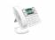 FANVIL X305 Big Button IP Phone w/ Braille Dialpad