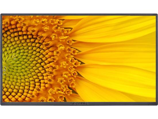 Sceptre E248W-19203R 24" LED LCD Monitor - No Stand - Grade B Sceptre E248W-19203R 24" LED LCD Monitor - No Stand - Grade B