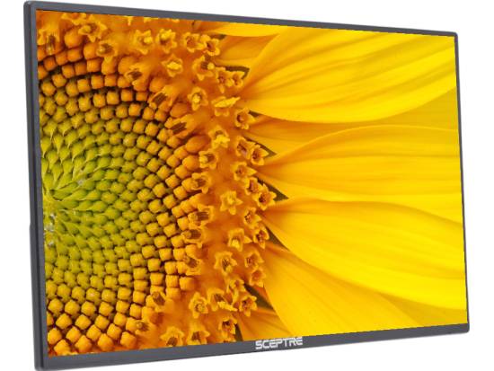Sceptre E248W-19203R 24" LED LCD Monitor - No Stand - Grade B Sceptre E248W-19203R 24" LED LCD Monitor - No Stand - Grade B