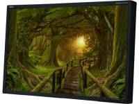 NEC EA241WM 24" Widescreen LCD Monitor No Stand NEC EA241WM 24" Widescreen LCD Monitor No Stand