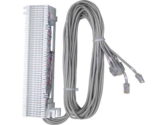 NEC Prewired 66/CAT5 Punchdown Block for DSX, DS2000 and SL1100 NEC Prewired 66/CAT5 Punchdown Block for DSX, DS2000 and SL1100