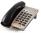 NEC Dterm Series I DTR-2DT-1 Black 2-Line Phone (780030)