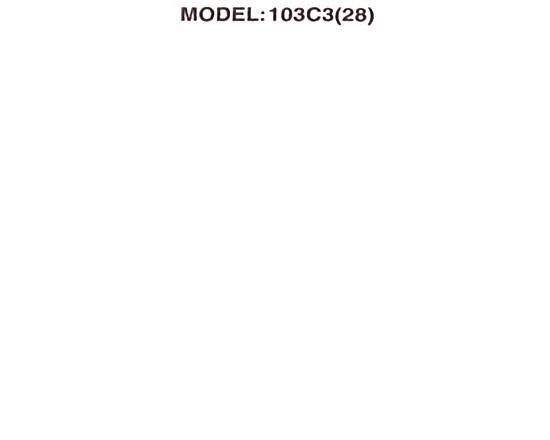 Avaya Partner Module Connector (103C3) Avaya Partner Module Connector (103C3)