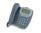Avaya 2410 12-Button Black Digital Display Speakerphone - Grade B