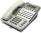 Panasonic DBS VB-43223 22 Button Grey Display Speakerphone