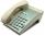NEC Dterm Series E DTP-2DT-1 Basic Line Digital Phone White (770075)