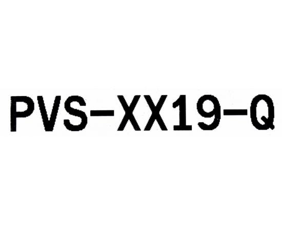 Polycom ViewStation PVS-XX19-Q ISDN/ST Interface Polycom ViewStation PVS-XX19-Q ISDN/ST Interface
