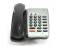 NEC DTR-2DT-1 2-Line Black Analog Telephone (780030)