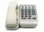 NEC DTR-1HM-1 White 8-Button Single Line Analog Phone 