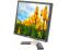 Dell E196FP 19" Black LCD Monitor - Grade A