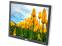 Dell 1704FPV  17" LCD Monitor - No Stand - Grade A