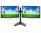 Acer Dual Monitor Stand with Two X223W - Grade A  - 22" Widescreen LCD Monitor