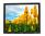 Dell 1706FPV 17" Black LCD Monitor - Grade C - No Stand
