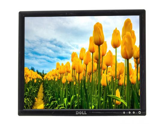 Dell 1706FPV 17" Black LCD Monitor - Grade C - No Stand