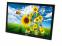 Dell E1910c 19" Widescreen LCD Monitor - No Stand - Grade C