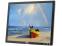 Dell E198FPf 19" Widescreen LCD Monitor - No Stand - Grade B